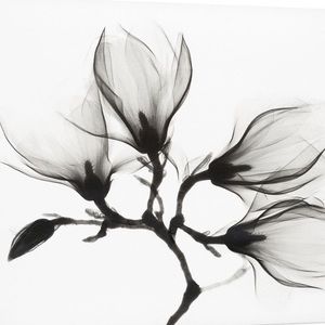 Meet your Posher, Joanne